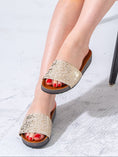 Load image into Gallery viewer, Metallic Serpent Casual Slides - GOLD