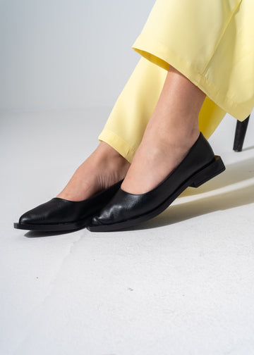Sleek Pointed-Toe Flats - BLACK
