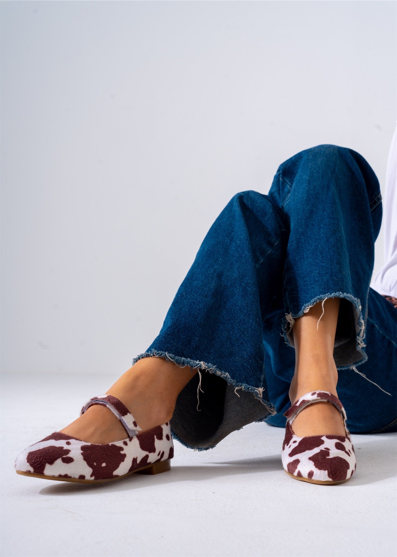 The Dalmatian Flat-brown